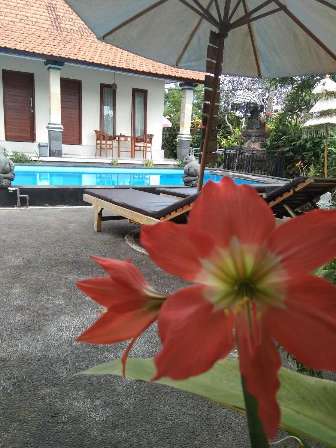 Sunwukong Guest House Ubud Eksteriør billede